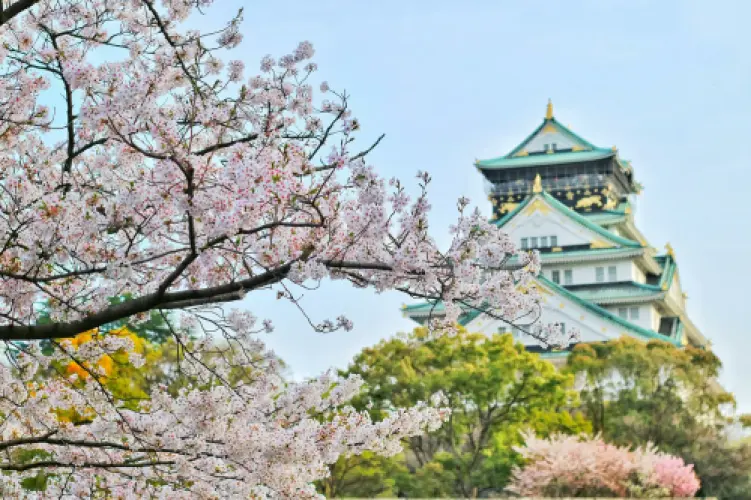 What Currency Does Japan Use? A Traveller’s Guide