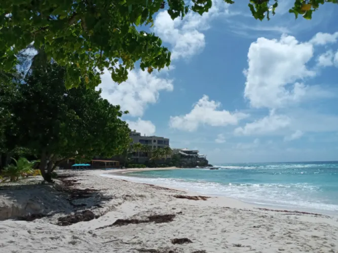 What Currency Does Barbados Use? A Traveller's Guide