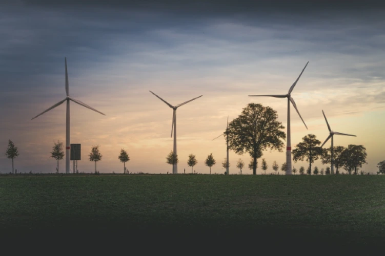 Eco-Friendly Travel: How to Reduce Your Currency Exchange Carbon Footprint